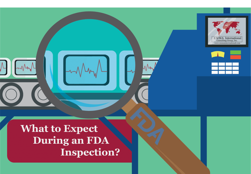 The Ins And Outs Of The FDA Inspection: What To Expect And How To ...