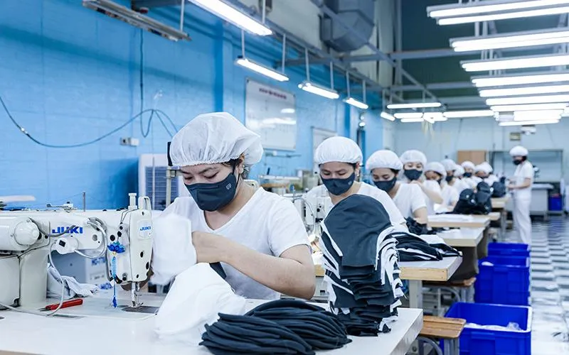 Underwear Manufacturers in Vietnam